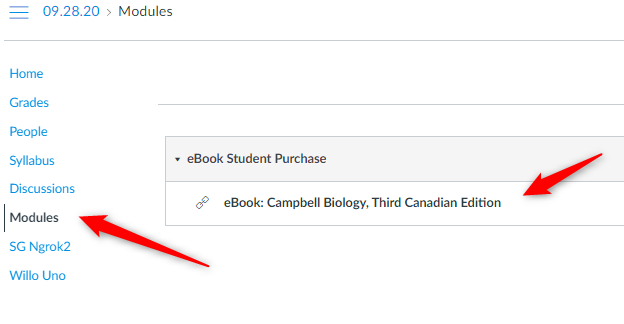 canvas course copy step 6.png