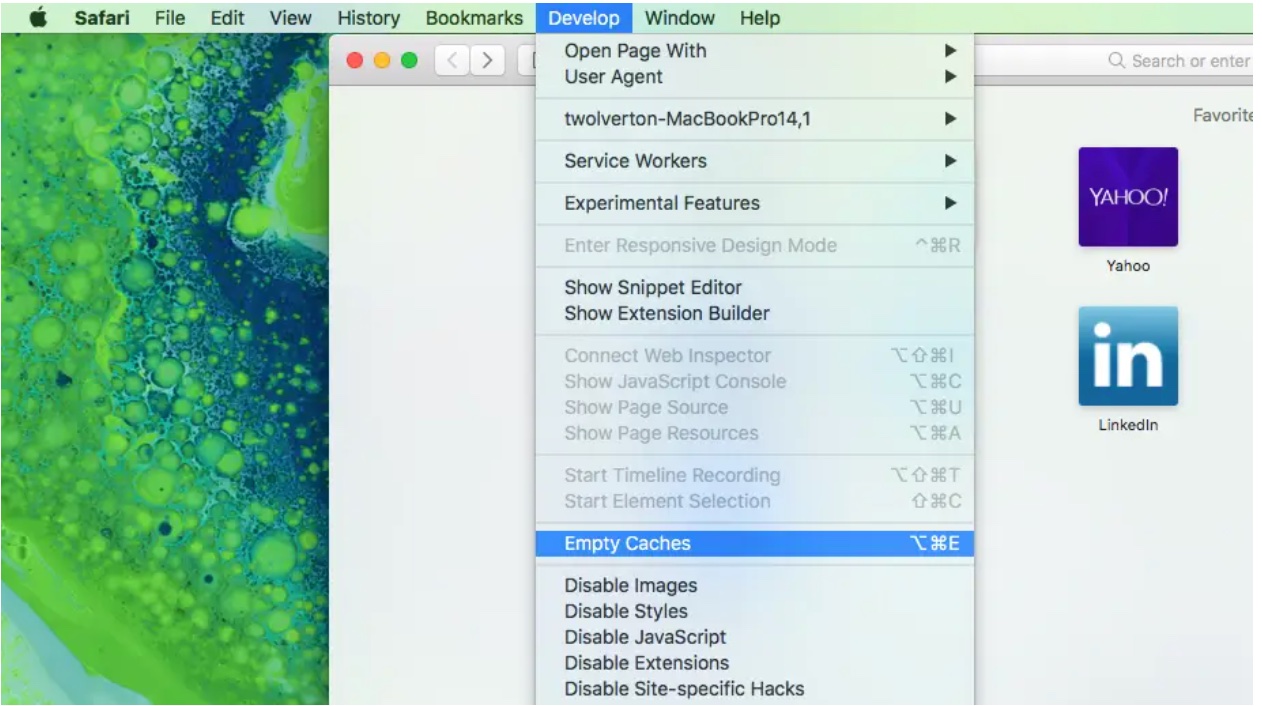 Safari3.jpeg