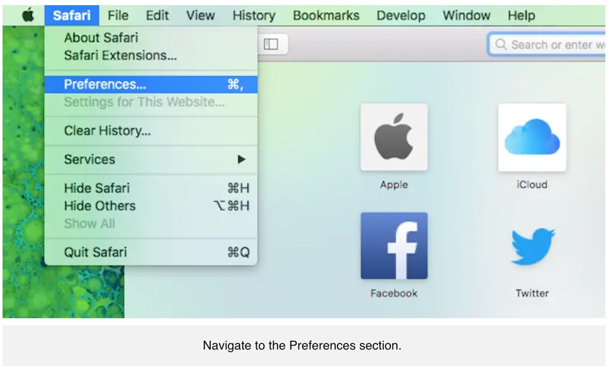 Safari.jpeg
