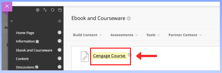 Click the Cengage link in Blackboard to initialize course pairing
