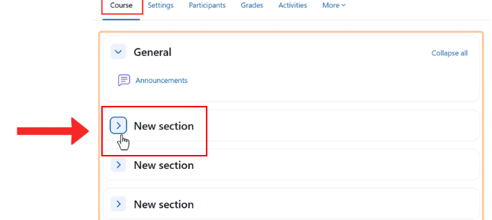 Moodle new section example