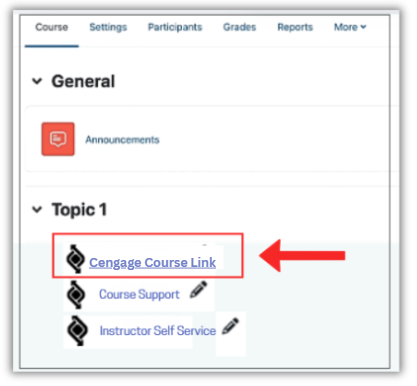 Canvas Cengage link example